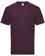 100 X Iconic Fruit of the Loom 195 Ringspun Premium T-Shirt Bundle SS135 - Image 12